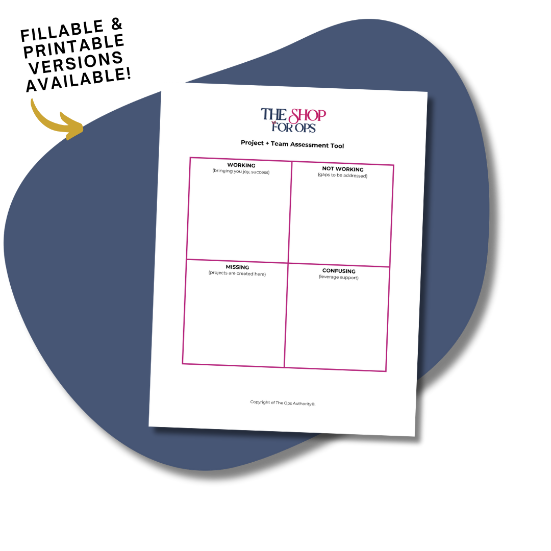 Project + Team Assessment Tool